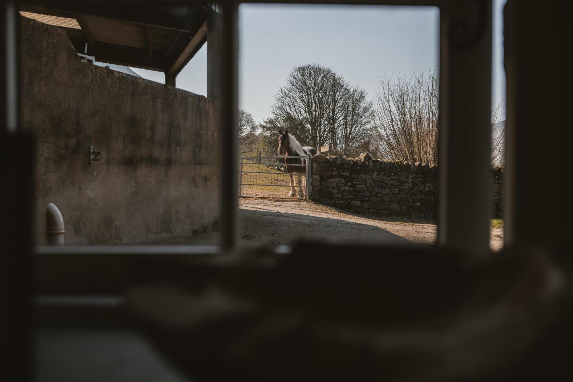 Bed and Breakfast Highside Farm Bassenthwaite Exteriér fotografie